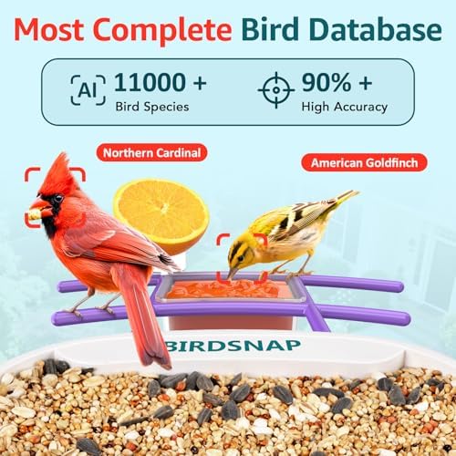 birdsnap® TUC Bird Feeder with Camera Solar Powered 2K Video with 32GB Card
