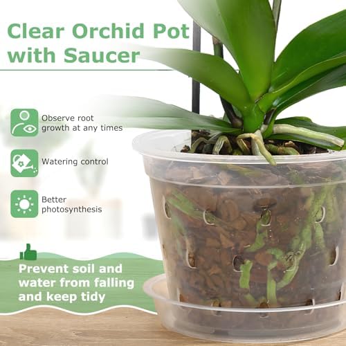 Orchid Pot, 3 4 5 6 Inch 8 Pack Orchid Pots with Holes and Saucers