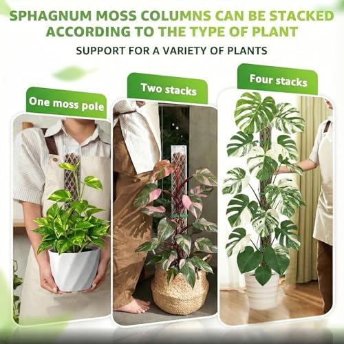 2 Pack 16 Inch Plastic Moss Poles for Climbing Plants D Shaped Moss Pole