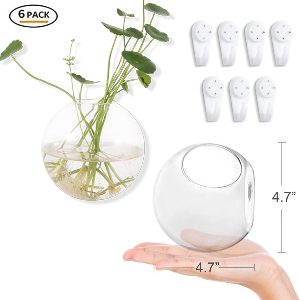 Hanging Wall Planters Pack of 6 Glass Plant Pots Round Wall Vases for Flowers Hanging Propagation Station Glass Plant