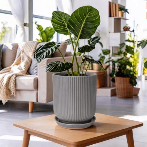 Deep Dream 8 Inch Ceramic Pots for Plants, Heavy Plant Pot for Indoor Outdoor Plants, Large Plant Pot with Drainage Hole and Saucer, Modern Tall Flower Pot, Gifts for Plant Lovers, Grey