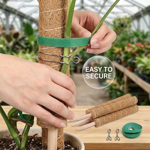 Moss Pole Monstera Plant Support, 4 Packs 16 Inch Plant Stakes for Monstera Moss Stick for House Plants,Moss Stakes for Climbing Plants Indoor, Coir Plant Pole Sticks Support Stakes
