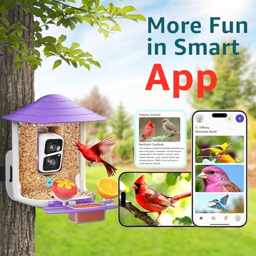 birdsnap® TUC Bird Feeder with Camera Solar Powered 2K Video with 32GB Card