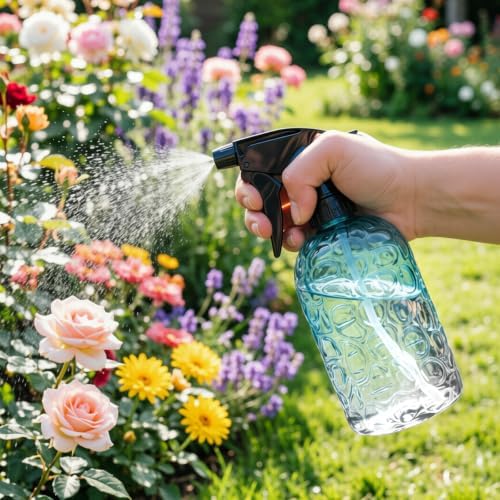 OFFIDIX Watering Can Indoor Set Blue Small Metal Water Can and Spray Bottle