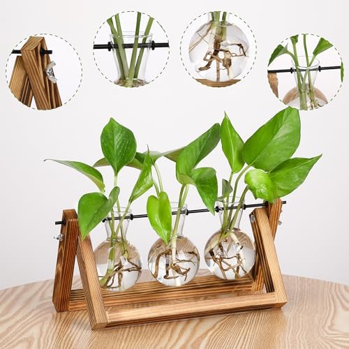 Propagation Station Accessories,2 Pack with Holes Glass Bulb vases