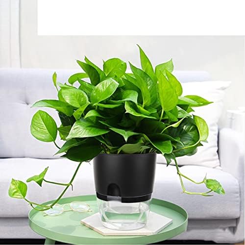 Vanavazon 6 Inch Self Watering Pots for Indoor Plants African Violet Pots
