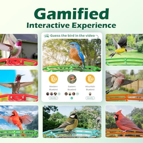 Bird Feeder with Camera, Smart Bird House with Cam for Outside