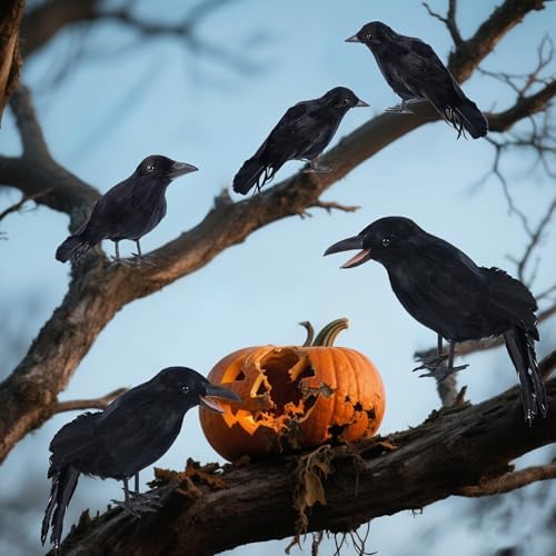 DR.DUDU 5 Pack Halloween Crows Decorations Fake Crow and Ravens