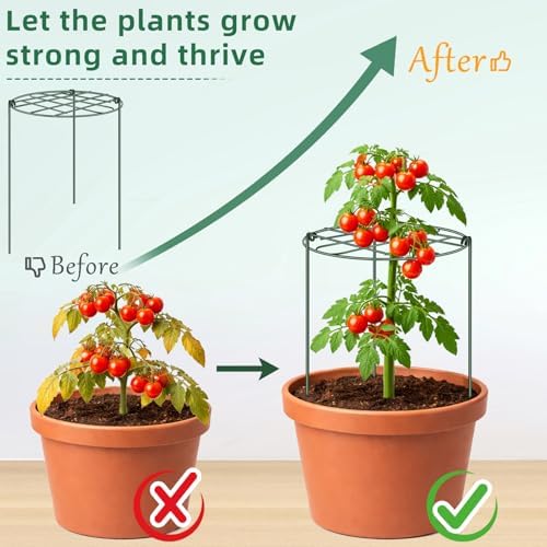 10 Pack 12 x 16 Inch Peony Cages and Supports for Outdoor Plants