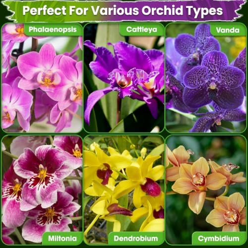 DUSPRO 4in1 Orchid Potting Mix for Repotting, Pre-Mixed & Ready to Use, 1QT