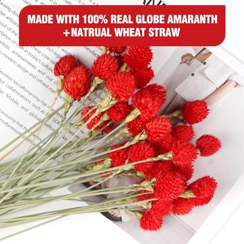 MIHUAGE Dried Globe Amaranth Flower with Wheat Straw 40PCS Bouquet for Vase Home Decor Party DIY Arrangement(Bright Red)