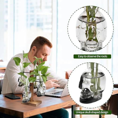 Plants Propagation Stations Skull Glass Propagation Birthday Gift for Women