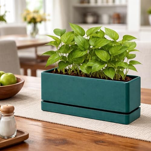 D'vine Dev Rectangular Planter, 12 x 4.5 in, Green, Set of 1, 76-X-C-1