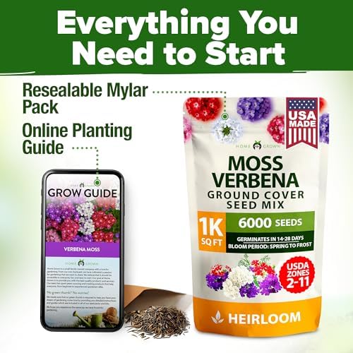HOME GROWN Verbena Moss Seeds, 6,000+ Seeds, Verbena tenuisecta