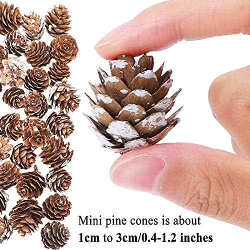 Cooraby 85 Pieces Micro-mini Snow Pine Cones Christmas Snow Pine Cones Ornaments for Home Decoration, Fall and Christmas Crafts