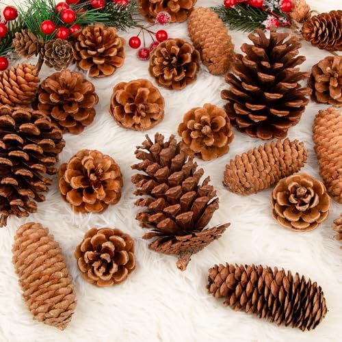 54 PCS Natural Pine Cones for Crafts Set Medium & Extra Large 1.2"-4"