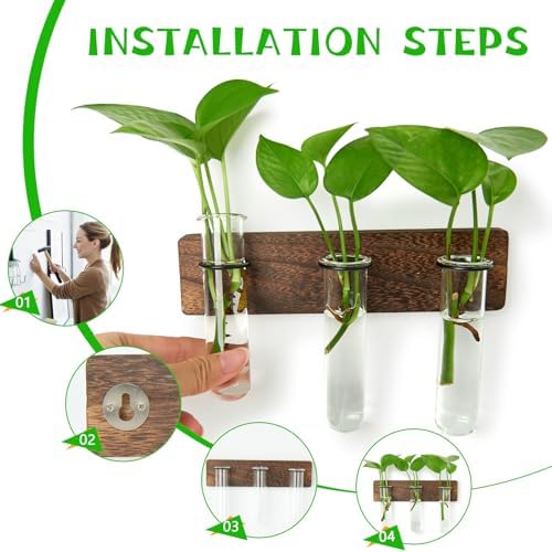XXXFLOWER Wall Mounted Plant Terrarium with Wooden Stand 3 PCS