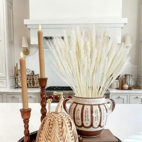 100Stems Dried Wheat Stalks, Natural White