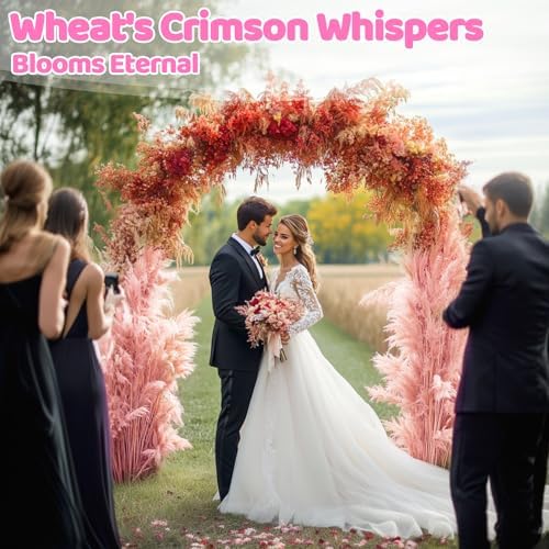 Sukh 50 Stems Dried Wheat Stalks - Pink Wheat Straw for Vases 13.3 in