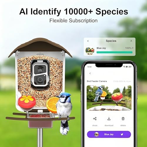 birdsnap® PAV Bird Feeder with Camera Solar Powered 2K Live Video 64GB Card