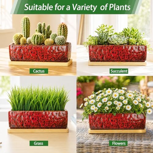 Succulent Pots, 7'' Large Long Rectangle Planters with Drainage Tray