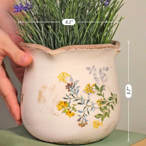 Ceramic Flower Vase, Rustic Farmhouse Vases & Planting Pots with Drainage