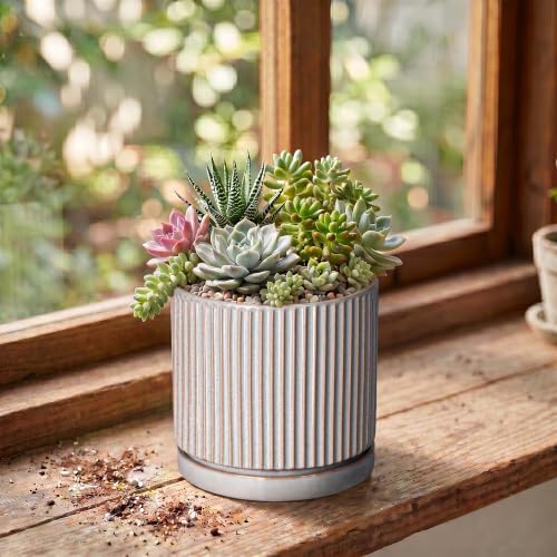 Ceramic Planter, 4 Inch Plant Pots, Round Pots for Plants, Grey