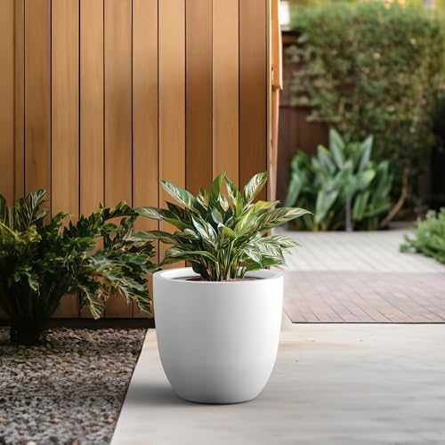 Kante 18" Dia Round Concrete Planter, Large Bowl Pot, White