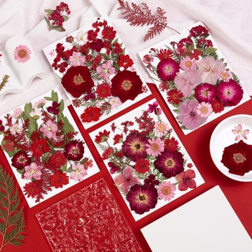 101 PCS Red Dried Pressed Flowers for Christmas Crafts Resin, Red Real Nature Flowers Bulk for DIY Holiday Cake Card Scrapbook Supplies, Large Dried Flowers for Soap Candle Making