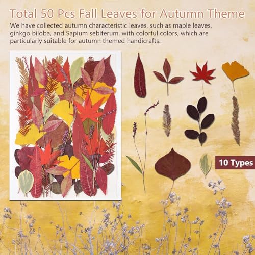 Large Bulk Fall Dried Pressed Leaves for Craft, Real Dry Natural Flower Leaf Daisy for Resin Mold, Cake Decor, Phone Cases (Autumn Leaves)
