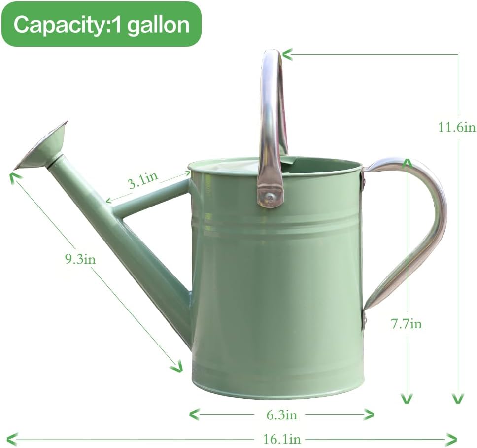 Metal Watering Can 1 Gallon for Outdoor Garden Plants, CGreen | Watering Cans Stainless Steel Handhold with Removable