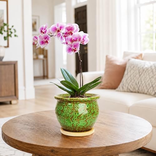 4.5 Inch Plant Pots, Small Pots for Plant Indoor, Succulent Pots with Tray