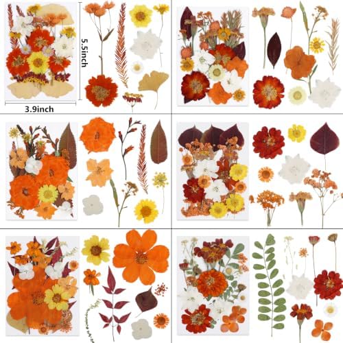 277 Pcs Autumn Dried Flowers for Crafts,Real Nature Dried Flowers for Resin