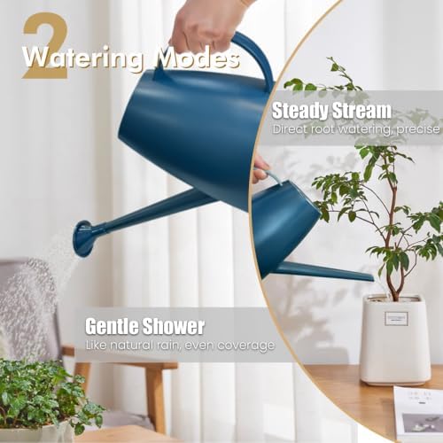 60 oz Watering Can, Small Watering Can for Indoor Plants with Long Spout