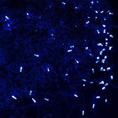 Wintergreen Lighting 100 Blue M5 LED Christmas Net Lights, 4 x 6 ft Green Wire Indoor/Outdoor Commercial Grade Christmas Bush, Shrub & Hedge Lights