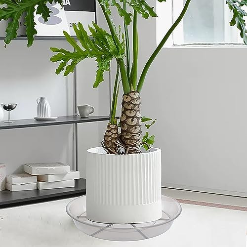 6 Pack Plant Saucer Drip Tray 7 8 inch, Plant Drainage Trays, Heavy Sturdy Plastic Planter Flower Pot Saucers for Indoor Outdoor Garden, Plant Water Drip Trays for pots (8", Grey)