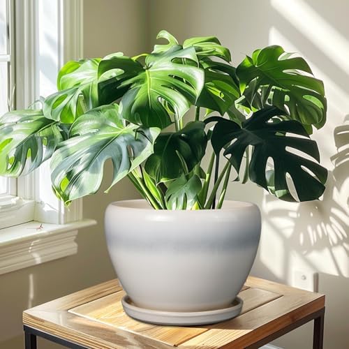 Ceramicfor 10 Inch Ceramic Planter Pot, Cream White