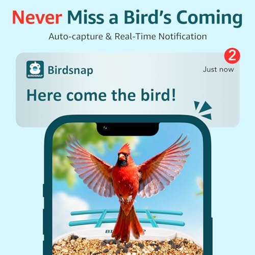 birdsnap® TUC Bird Feeder with Camera Solar Powered 2K Video with 32GB Card