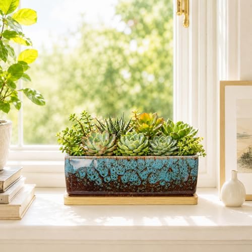 Succulent Pots, 7'' Large Long Rectangle Planters with Drainage Tray