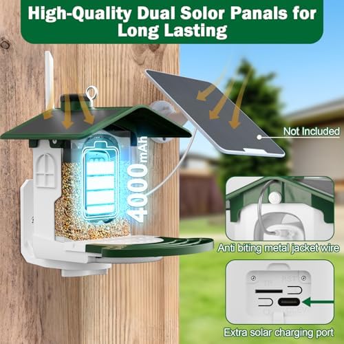 Smart Bird Feeder with Camera, Solar 2K AI Identification, Green