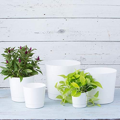Root & Vessel Majestic Full Depth Cylinder Pot, Glossy White, 14-Inch (10142)