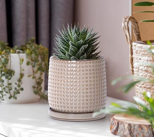 D'vine Dev Beaded Ceramic Pot with Saucer, 4 in, Light Brown, 27-C-Z-4