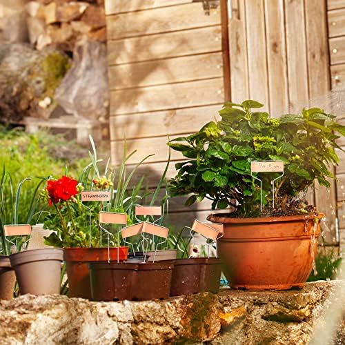 Moxweyeni 60 Pcs Metal Garden Tags Plant Labels,Copper,10 Inch