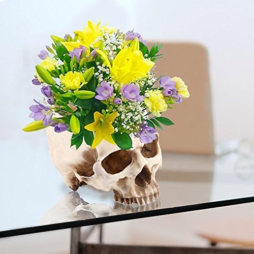 Large Multifunctional Skull Planter, Resin Storage Container