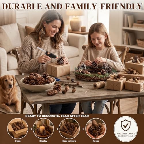JOHOUSE 50 PCS Large Natural Pinecone Ornaments, Pine Cones Bowl Fillers