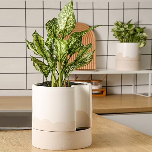 Nihow Ceramic Self Watering Plant Pot for Indoor Plants,8 Inch,White & Wave