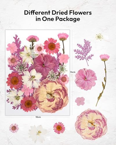 Dried Flowers, Resiners 100Pcs Pressed Flowers for Craft Baby Pink Real Natural Dried Flowers Dry Leaves Kit for DIY Making Crafts Resin Soap Candle Scrapbook Supplies Card Making Jewelry