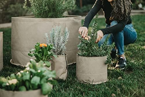 Grassroots Fabric Pot 5 Pack | Grow Bag for Plants Indoors | Living Soil Planter Pots for Outdoor Plants (10 Gallon)
