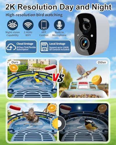 Bird Feeder with Camera, AI Recognition, Bird Bath, Solar Powered