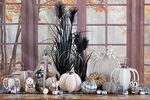 Boston International Pumpkin Décor Autumn & Fall Decorations, Small, Woven Wicker